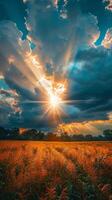 Sunbeams breaking through dark clouds after a storm photo