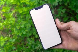 Concept of smart agriculture. Smartphone in farmer hand on background of green harvesting parsley. Blank empty white screen mock up phone advertisement technology photo