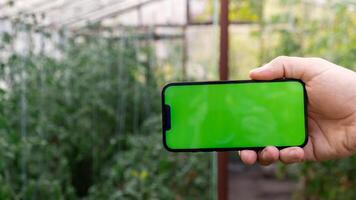 artificial inteligente administración sistema en granja. inteligente jardinería a hogar. vacío verde pantalla croma llave móvil teléfono muestra. futurista ai tecnologías en agricultura agricultura. foto