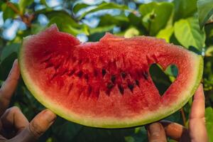 Summer seasonal food. Juicy red watermelon slice cut in heart shape outdoors summertime holidays sunbeams. Concept of enjoying the moment in fresh air. Sustainable calm lifestyle pastoral life cottagecore escapism photo