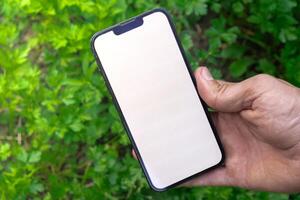 Farmer hand holding mobile phone with empty white screen. Mock up outside on farm agriculture concept. Green herb parsley background. Harvesting technology innovations photo