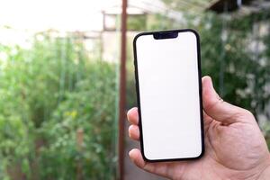 Artificial intelligent management system in farm. Smart gardening at home. Empty white screen mobile phone sample. Futuristic ai technologies in farming agriculture. photo