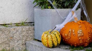 Group of orange pumpkins in autumn outside. Thanksgiving or Halloween holiday autumn decoration. House entrance in festive seasonal decor. Autumn atmosphere aesthetic photo