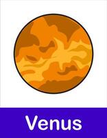 Planet Venus on white background of Solar System in Space. Planet illustration elements for education and other purposes vector