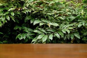 Selective Focus and Blur on Wooden Table with Green Leaves as Commercial Background photo