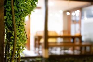 Selective Focus and blur on Climbing Plants and Wooden Cafe Table Set as Commercial Background photo