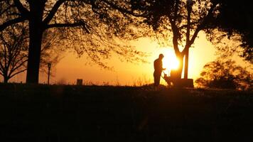 primavera mágico puesta de sol foto