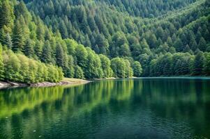 lago montaña antecedentes nube arboles bosque rock Roca foto