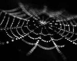 Glistening raindrops on a spider web photo