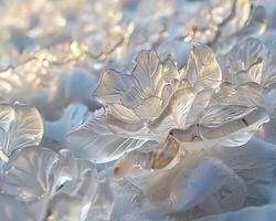 Crystalline structure of frost on glass photo