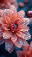 Delicate flower petals close-up with dew photo