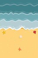 Beach background with sand starfish and shells vector