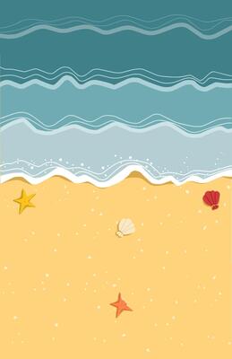 Beach background with sand starfish and shells