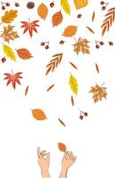 Hands holding dry leaves in falling autumn vector