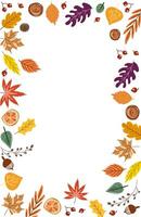 Frame of various types of dry leaves in autumn on white vector