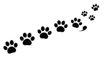 Exploring Cat Paws Trails Illustrations for Feline Enthusiasts vector