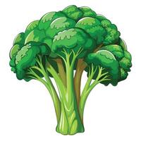 Fresco y vibrante brócoli ilustraciones añadir verde apelación a tu diseños vector