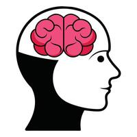 Unlocking Insights Human Head Brain Illustrations vector