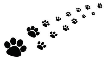 Exploring Cat Paws Trails Illustrations for Feline Enthusiasts vector