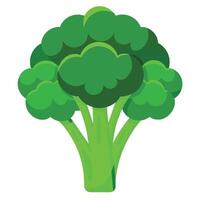 Fresco y vibrante brócoli ilustraciones añadir verde apelación a tu diseños vector