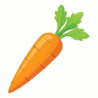 Fresh and Vibrant Carrot Illustrations Elevate Your Designs vector