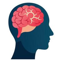 Unlocking Insights Human Head Brain Illustrations vector