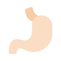 Human body organ to receive and process food, stomach icon vector