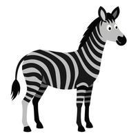 A zebra standing on a white background. vector