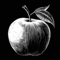 An apple with leaves on top, black and white, isolated on a white background vector