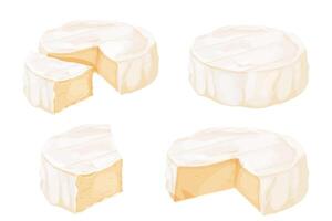 Set Camembert cheese, brie french soft creamy food isolated on white background. vector