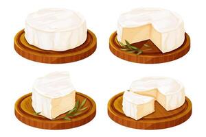 Set Camembert cheese, brie french soft creamy food on wooden tray with rosemary in cartoon style isolated on white background. vector