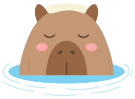 söt ljuv hand dragen capybara png