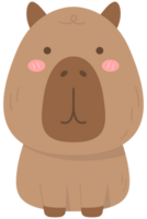 cute sweet hand drawn capybara png