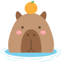 cute sweet hand drawn capybara png