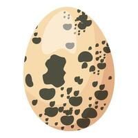 Quail egg illustration on white background vector