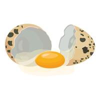 graphic of an open quail egg with yolk visible, on a white background vector