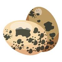 Detailed illustration of two spotty quail eggs vector