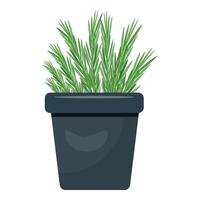 illustration of a lush rosemary plant in a simple pot, isolated on white vector