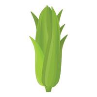 Fresh green corn cob illustration vector