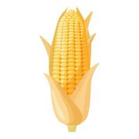 graphic of a ripe, yellow corn cob with green husks on a white background vector