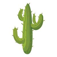 vibrante gráfico de un verde dibujos animados cactus con múltiple brazos vector