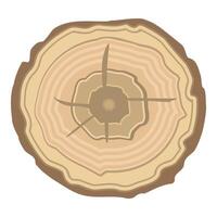 Crosssection of tree trunk illustration vector