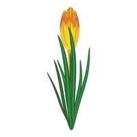 Digital art of a bright orange tulip with detailed yellow streaks on an isolated white background vector