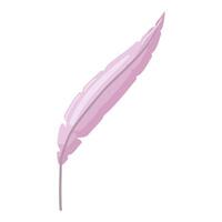 Stylized illustration of a delicate pink feather on a clean background vector