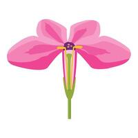 graphic of a vibrant pink flower with detailed petals and center vector