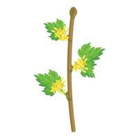 Fresh spring tree branch with blossoms vector