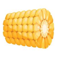 graphic of a ripe, yellow corn cob isolated on white background vector