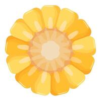 Highquality graphic of a bright yellow marigold flower, perfect for design use vector