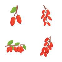 Barberry icons set cartoon . Ripe red barberry on branch vector