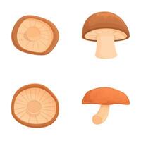 Shiitake icons set cartoon . Asian shiitake mushroom or fungi vector